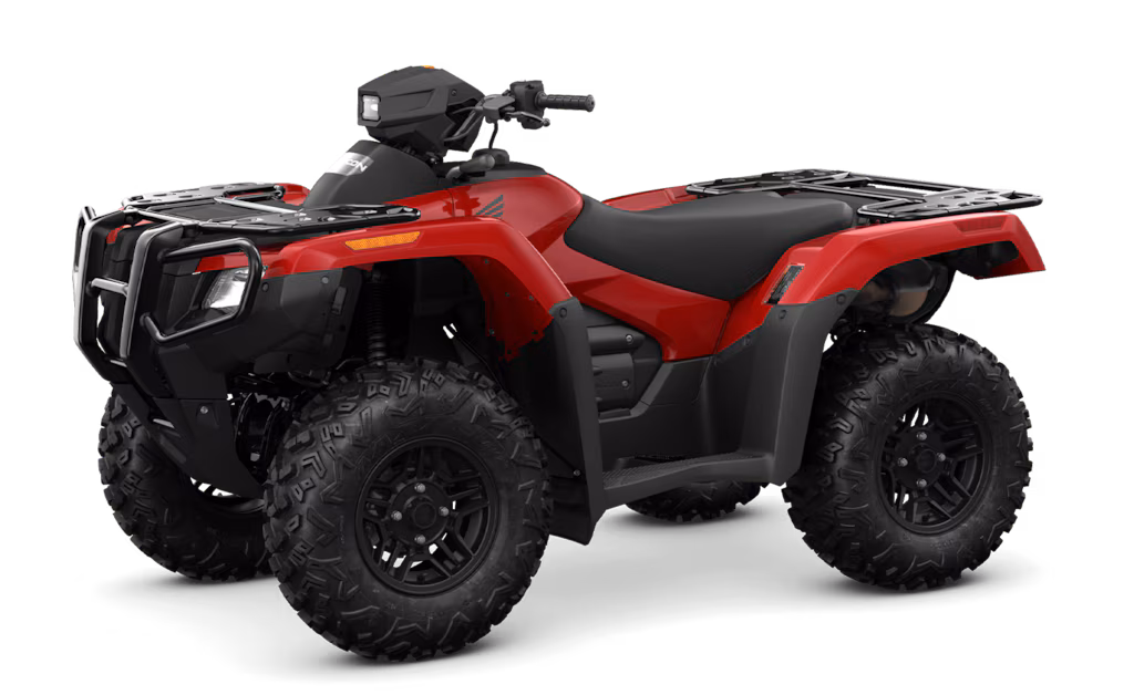 Model Image
