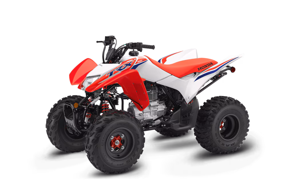 Model Image