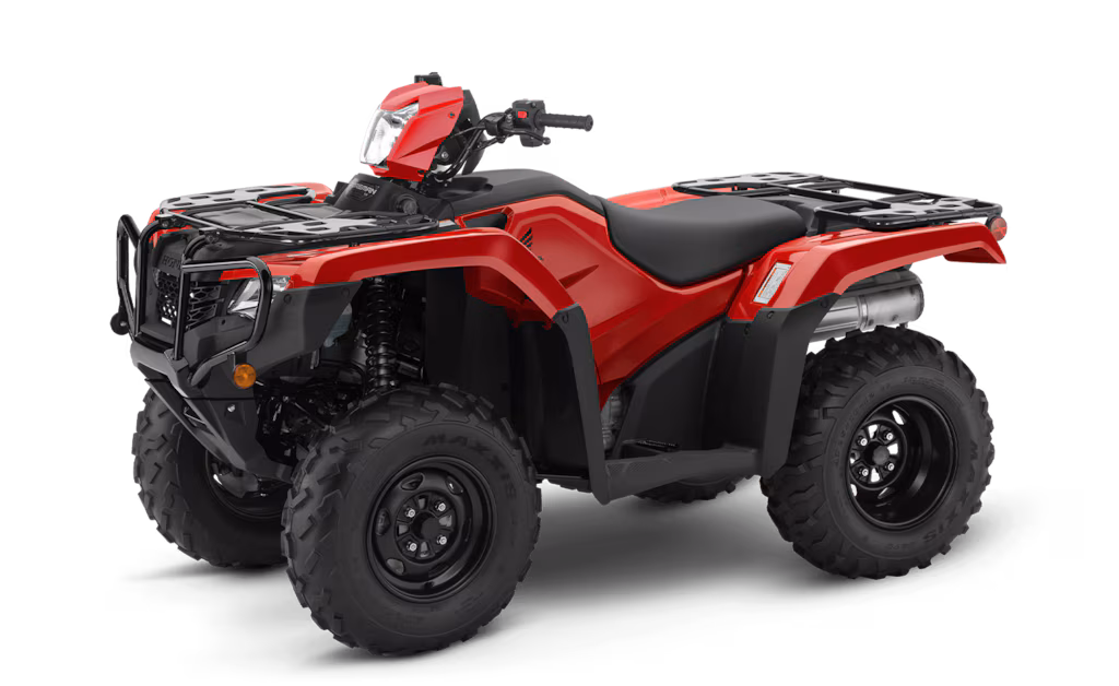 Model Image