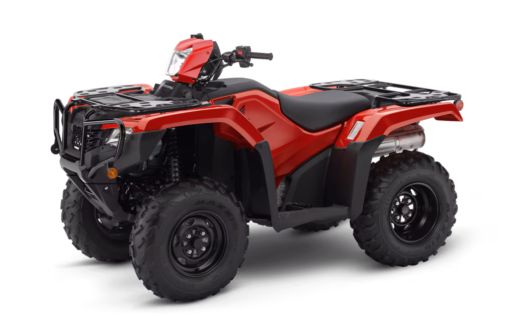 Model Image