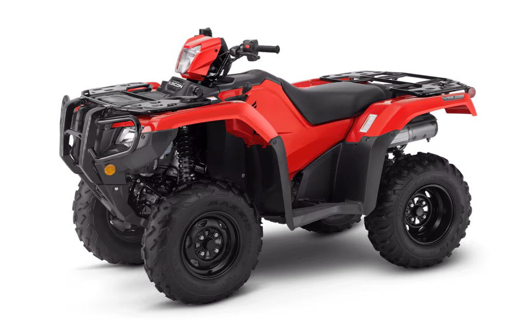 Model Image