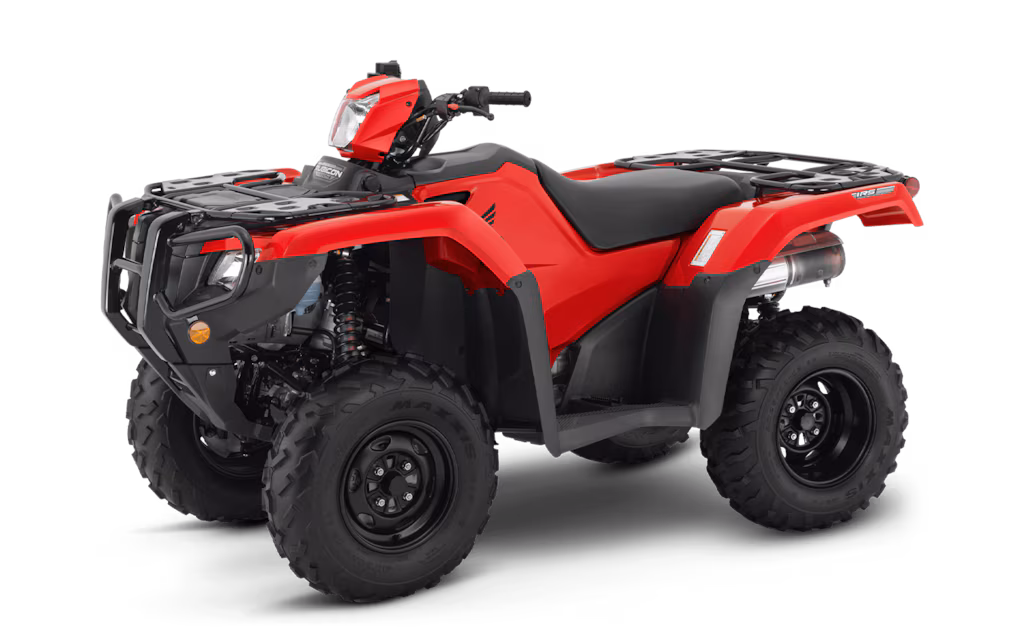 Model Image