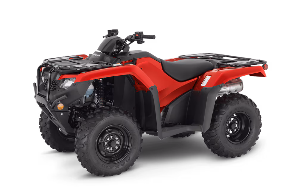 Model Image