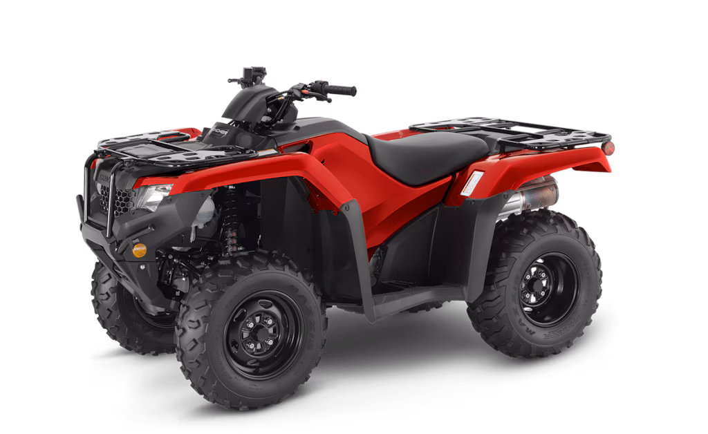 Model Image