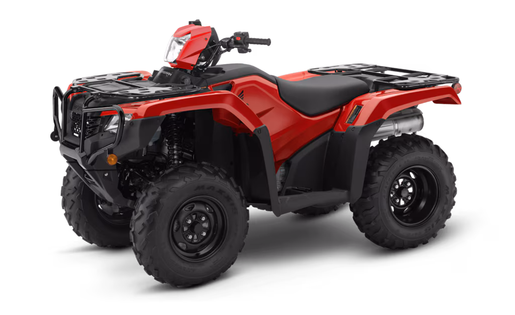 Model Image