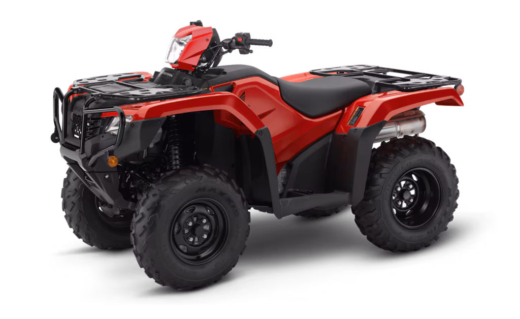 Model Image