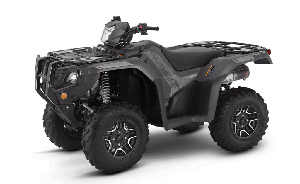 Model Image