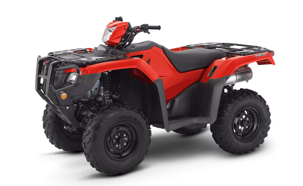 Model Image