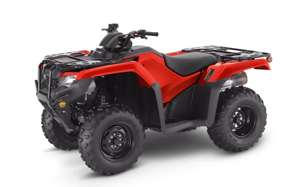 Model Image