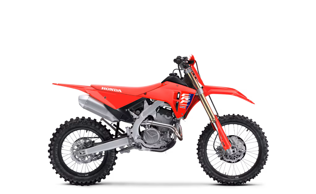 Model Image