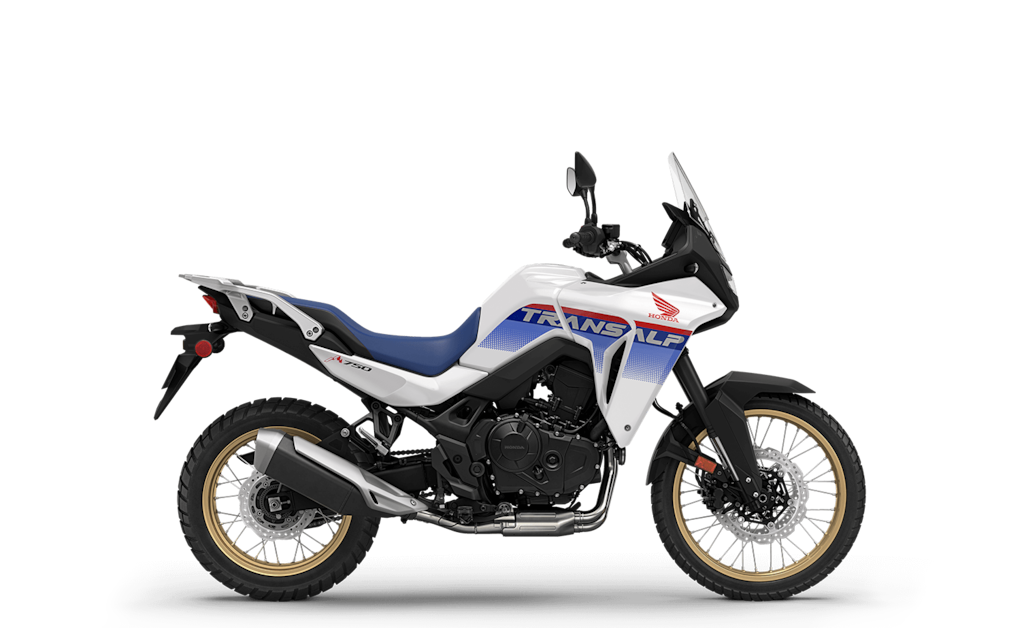 Model Image