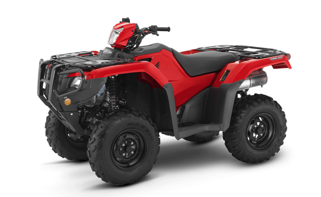 Model Image