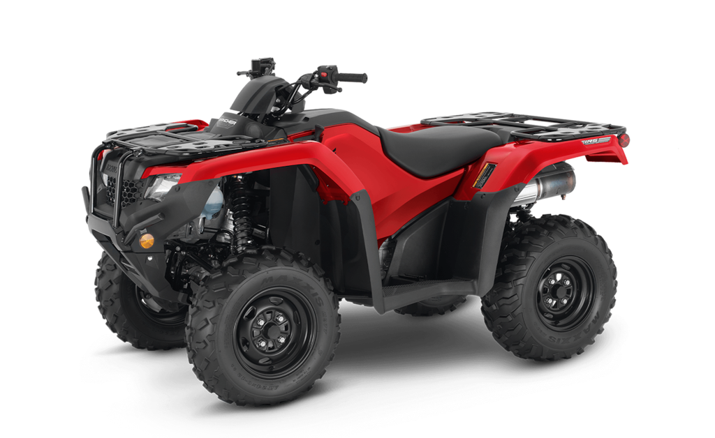 Model Image