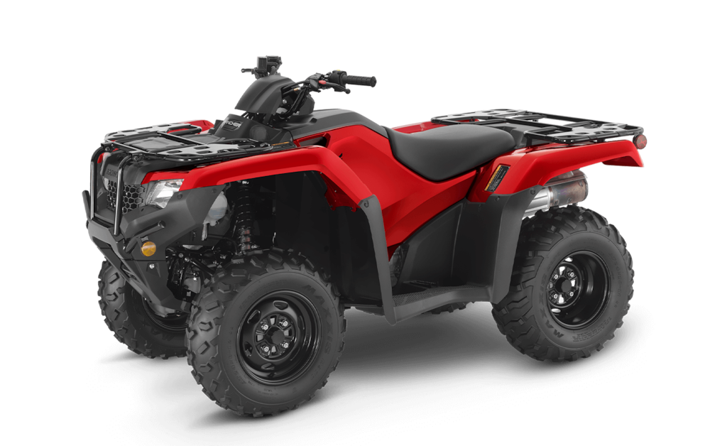 Model Image