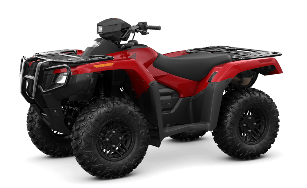 Model Image