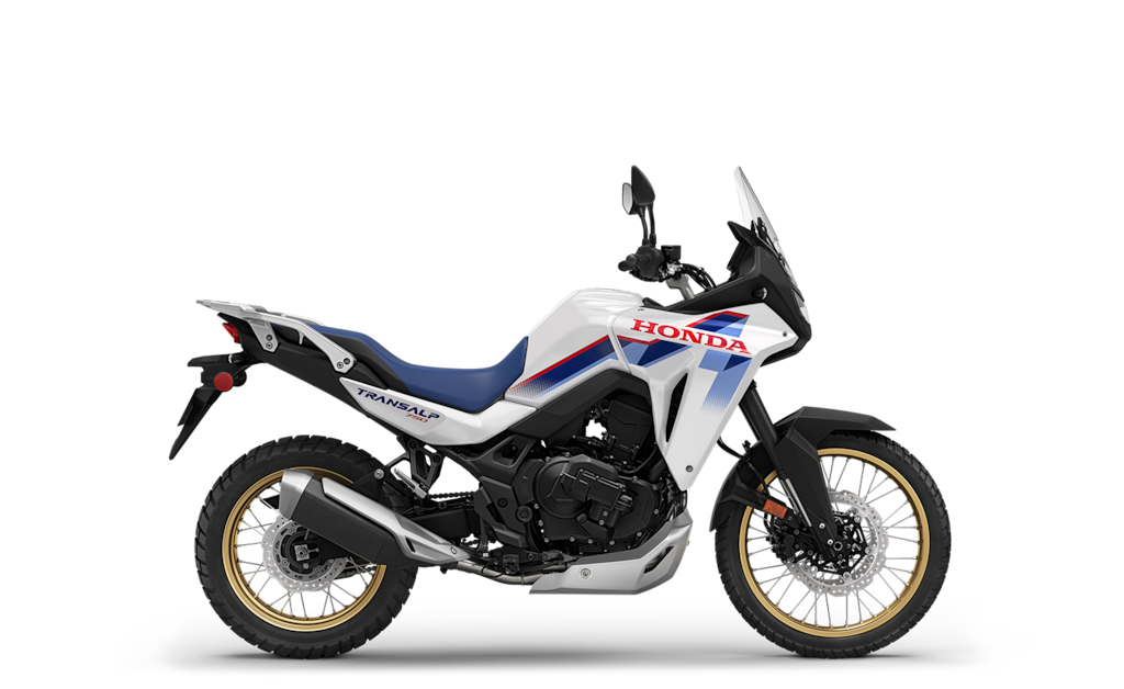 Model Image