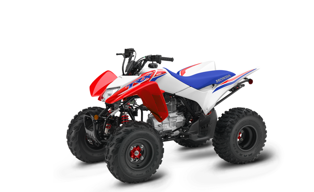 Model Image