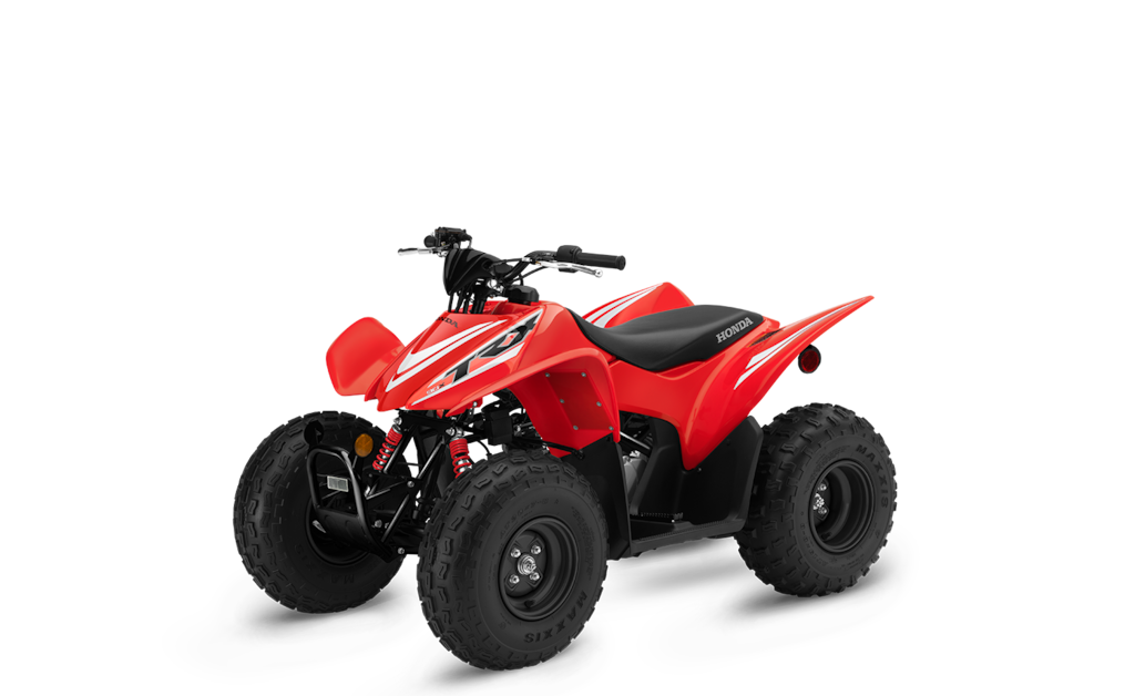 Model Image