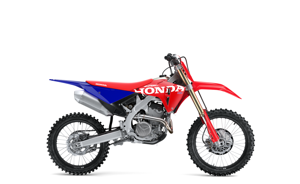 Model Image