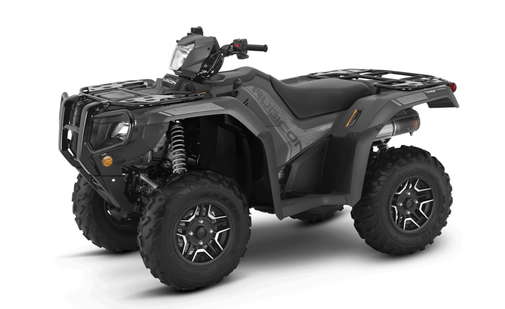 Model Image