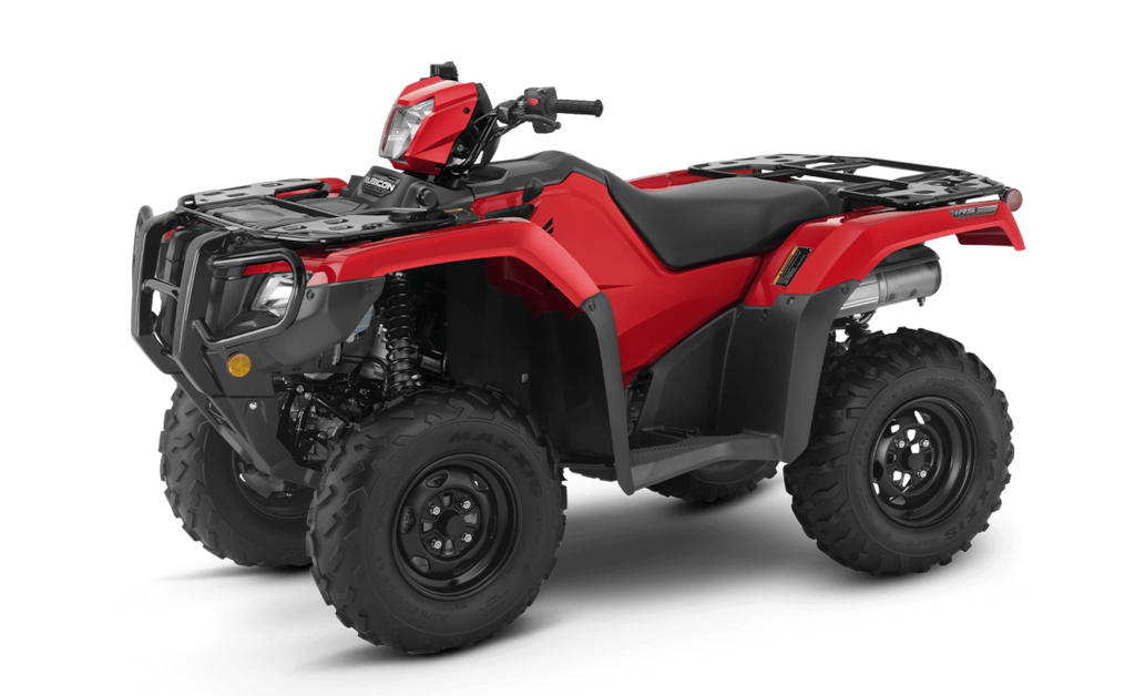 Model Image