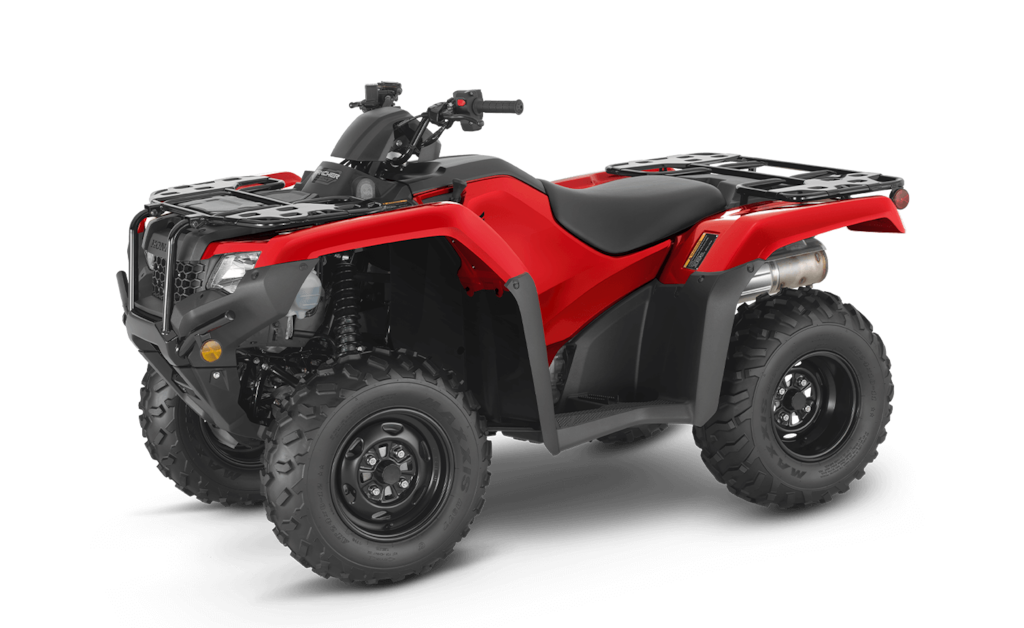 Model Image