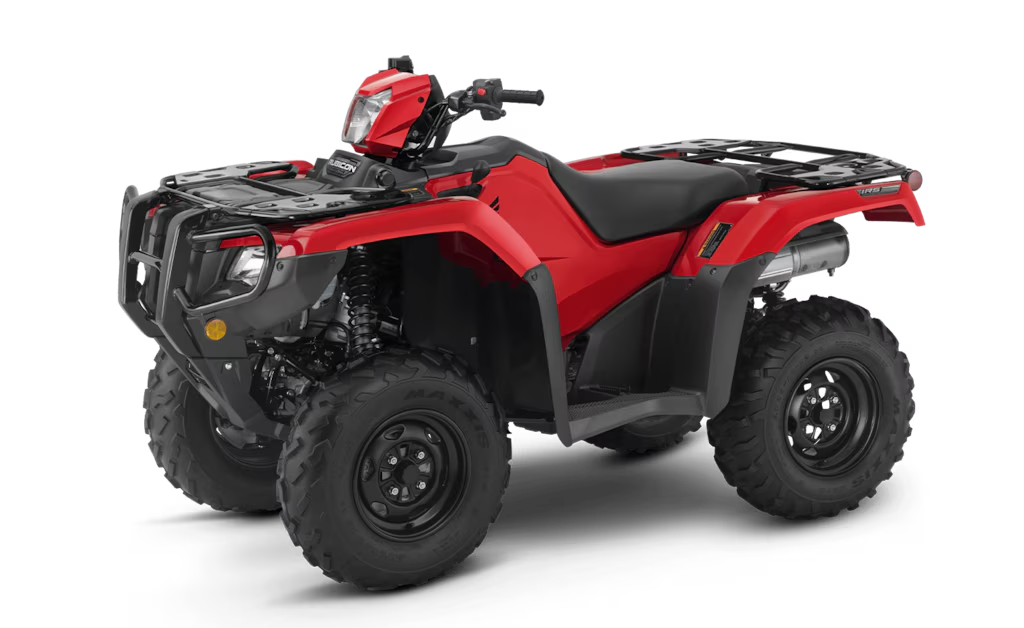 Model Image